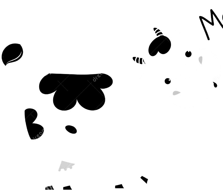 black & white cow