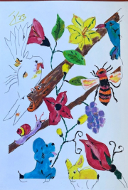 birds & bees