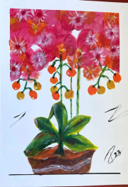 red flowers in a pot
