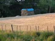 square hay bails