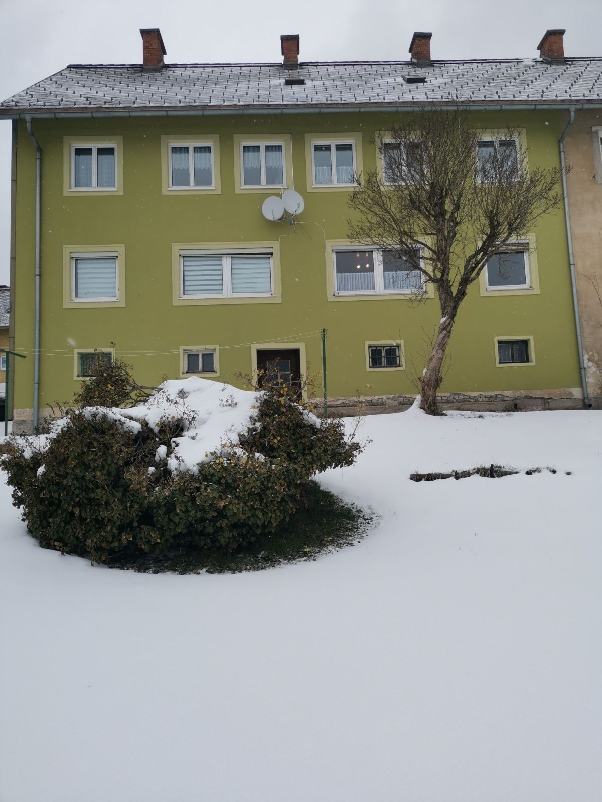 snow 3