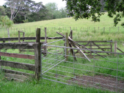 fence #2