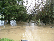 Rapson rd #4