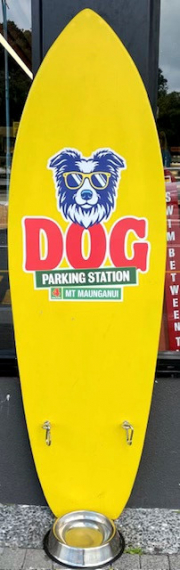 doggie water station