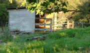 Hay shed