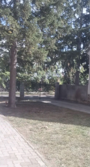front lawn
