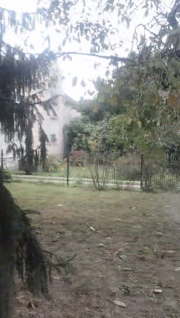 front lawn #2