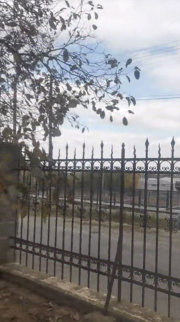 front fence