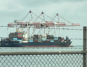 port cranes