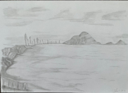 view to the mount NZ