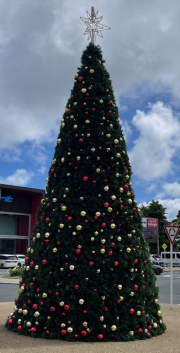 thousand balls and a star