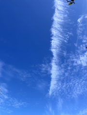 scrambled white cloud