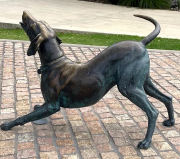 bronze dog