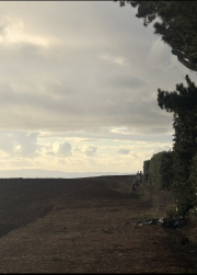 behind the hedge - Pukekohe 2026