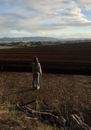 looking north - Pukekohe 2026