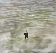 one to the helicopter