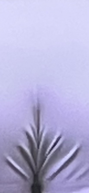 not all its cracked up to be