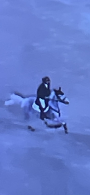 trot