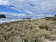 i can see for miles and 