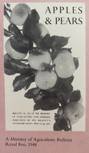 Apples & Pears 1948