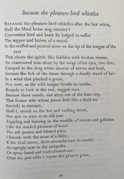 Because the pleasure-bird whistles