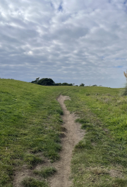 path east