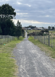 take the path