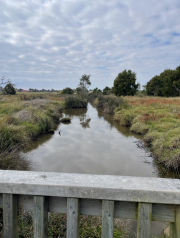 water to the east