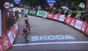 over the line - winner