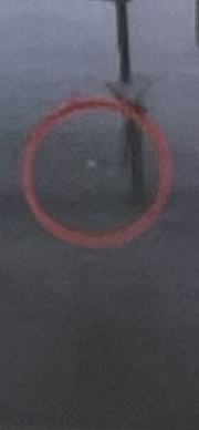 something in a red circle