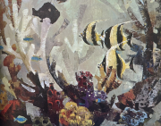 The Coral reef