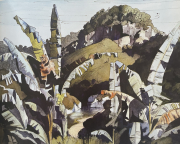 Fijian landscape