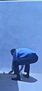 snake in the corner