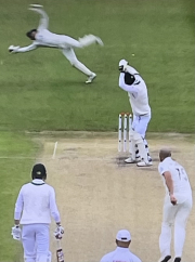 flying wicket keeper