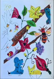 birds & bees