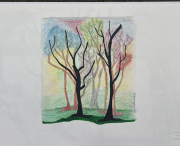 coloured trees
