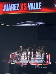 Juarez v Valle