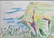 "Modeira" & bird of paridise plants