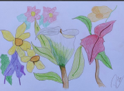 potted plants