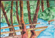 trees in a flood