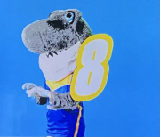 8