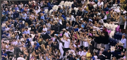 crowd