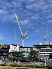 another crane