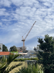 1 crane