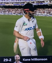 Kane Williamson out 29 