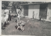 my Greyhound - 1970s