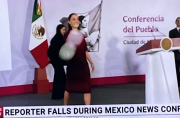 catch the ball