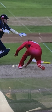 where is my bat