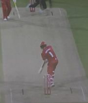 out top of stump