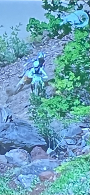 behind the tree